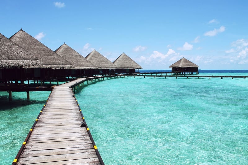 Caribbean Fusion